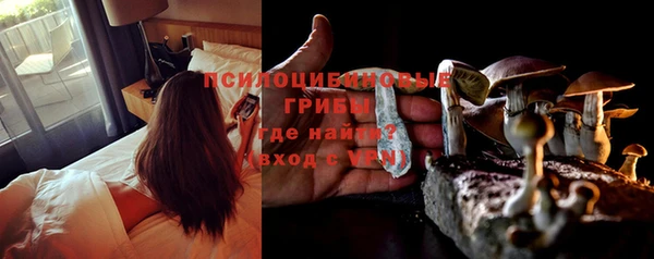 винт Армянск