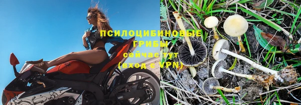 МДПВ Аркадак
