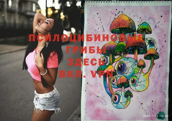 МДПВ Аркадак