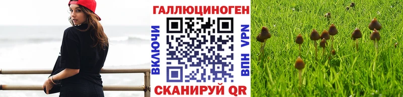 Галлюциногенные грибы Cubensis  Кубинка 