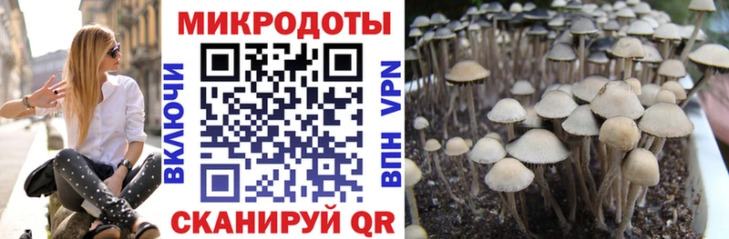 Псилоцибиновые грибы GOLDEN TEACHER Кубинка